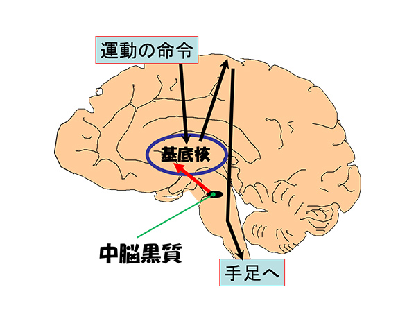 希望についてのメモ